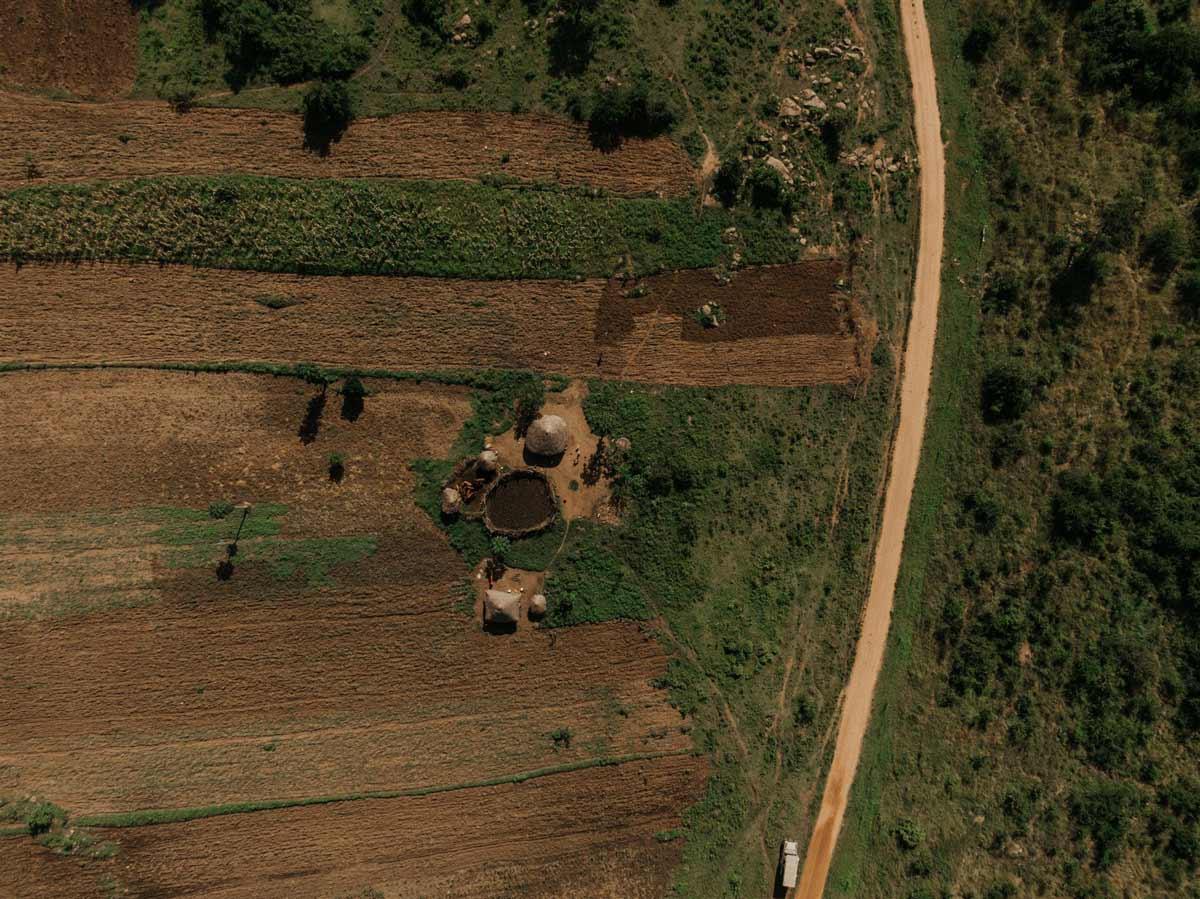 Villagers live in remote parts of the Serengeti amongst wild animals.