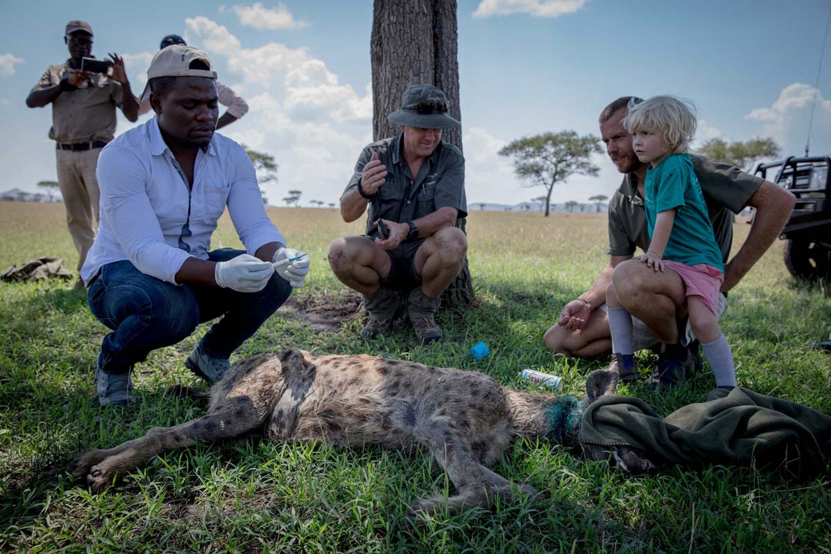 Grumeti Fund work to protect wildlife in the Serengeti .