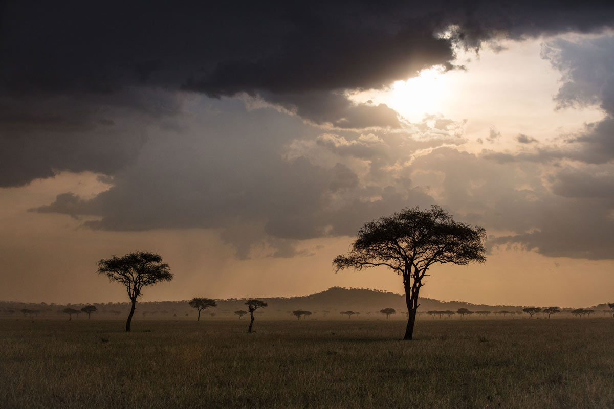 Landscape shot taken in the Grumeti Concession, in the Western Corridor of the Serengeti. The Grumeti Fund is responsible for protecting 350,000 acres of wilderness that form a critical part of the greater Serengeti ecosystem.